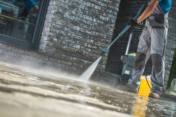 Best Animal Enclosure Cleaning  in Philmont, NY