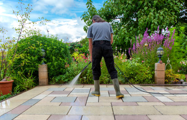 Best Sidewalk and Walkway Cleaning  in Philmont, NY